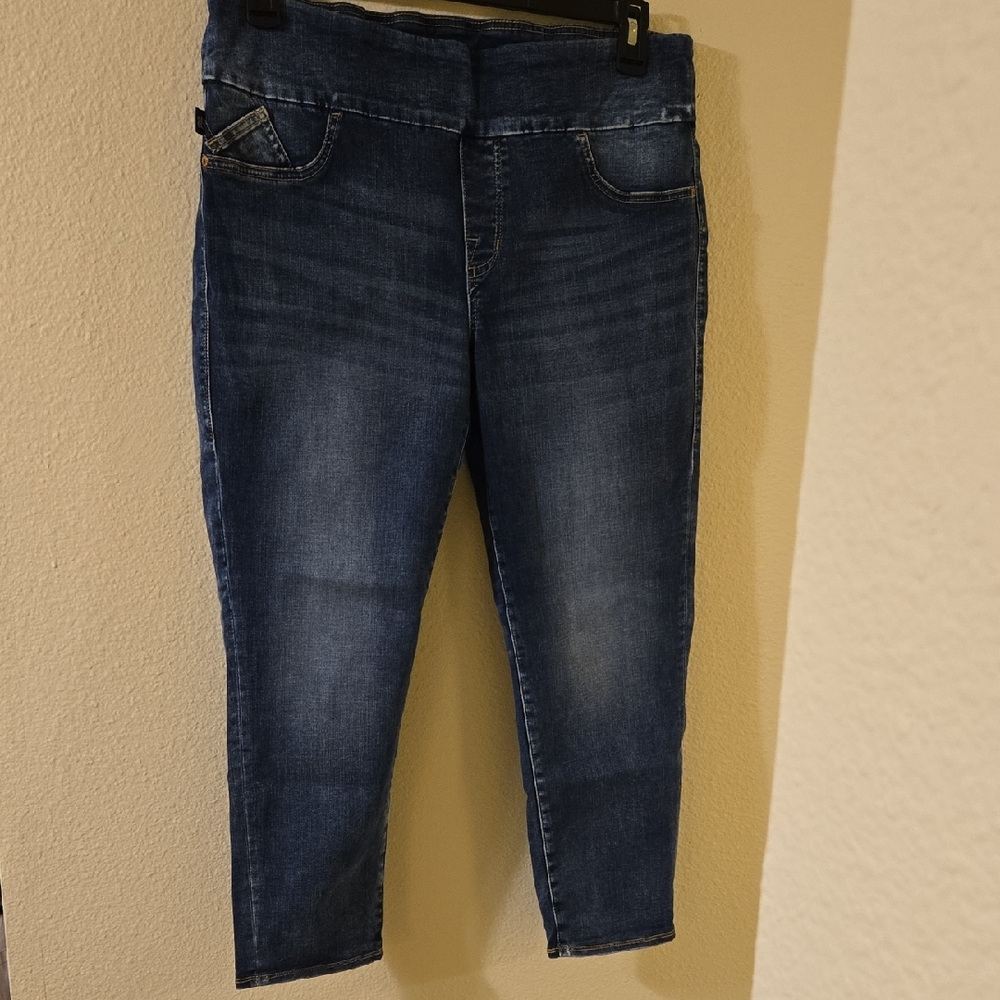 Rock & Republic Dark Blue Ankle Jeans